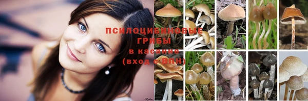 экстази Беломорск