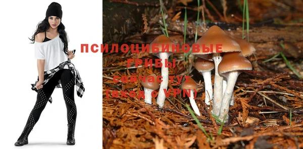 дистиллят марихуана Белокуриха