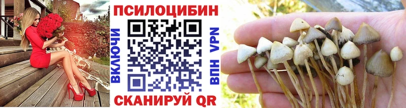 Псилоцибиновые грибы Psilocybine cubensis Володарск